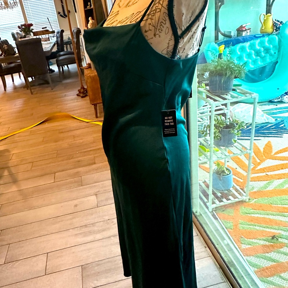 NWT Express M Green Dress